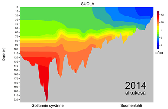 Suolaprofiili 2014